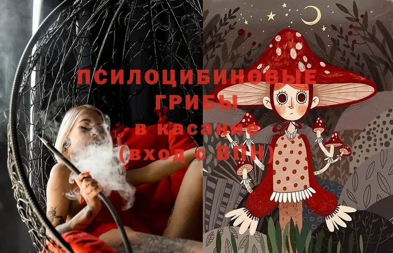 Псилоцибиновые грибы MAGIC MUSHROOMS  Джанкой 